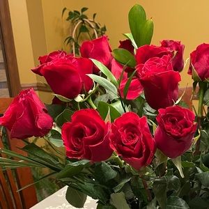 Meet your Posher, Angela